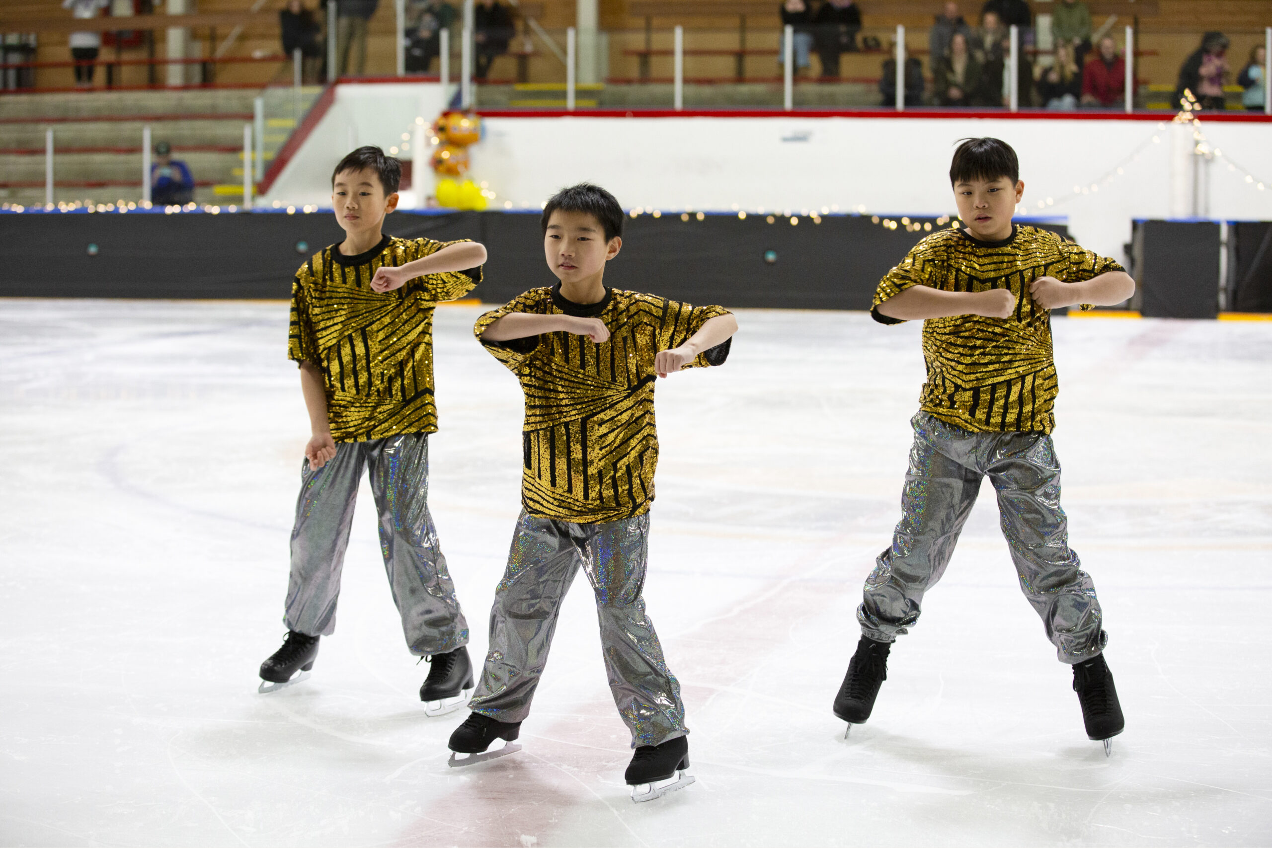 Ice Show Dec 2024