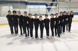 Solar Ice Intermediate Team